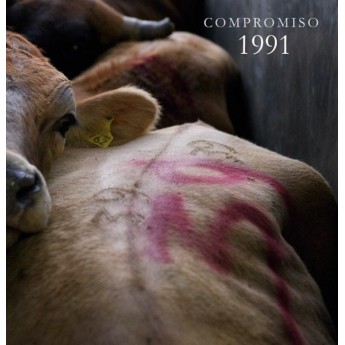 1991 - Compromiso