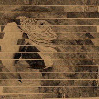 ELM (Experimental Little Monkey) - Positivismo Tropical