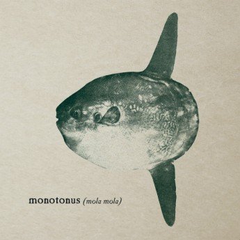 monotonus - mola mola