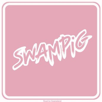 Swampig - Road To Swampland