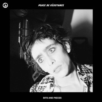 Peace De Résistance - Bits And Pieces