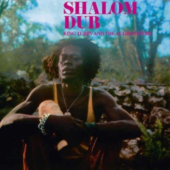 King Tubby And The Aggrovators - Shalom Dub